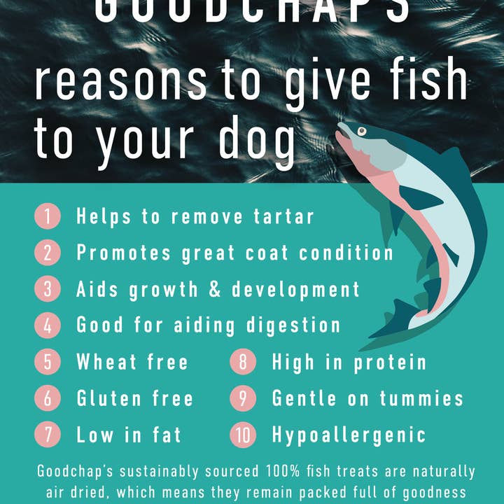 Goodchap's - Vendita all'ingrosso Snack - Cani - Fish Finger Value Pack | Dolcetti e prodotti da masticare per cani senza additivi5