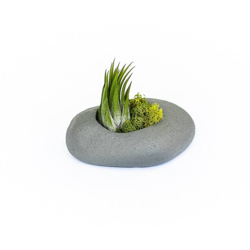 Air Plant Shop - Wholesale Plant Pot - Gray Ceramic Stone Planters1