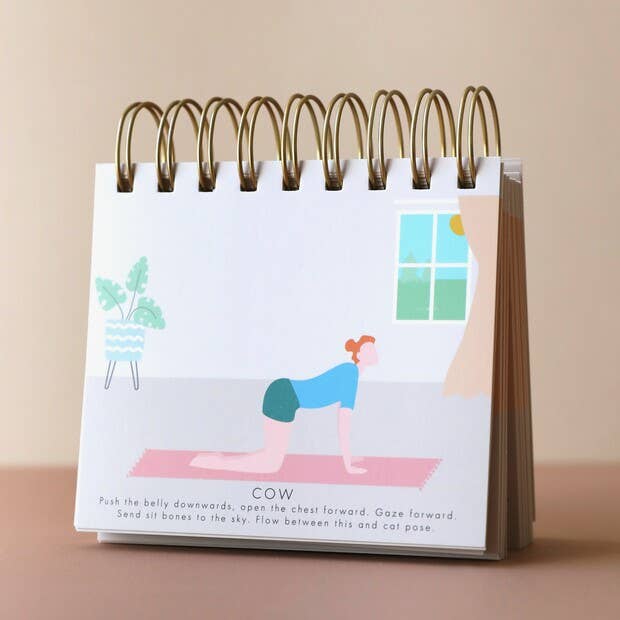 Lisa Angel – wholesale Fitness & exercise book – Daily Yoga Poses Flip Chart6