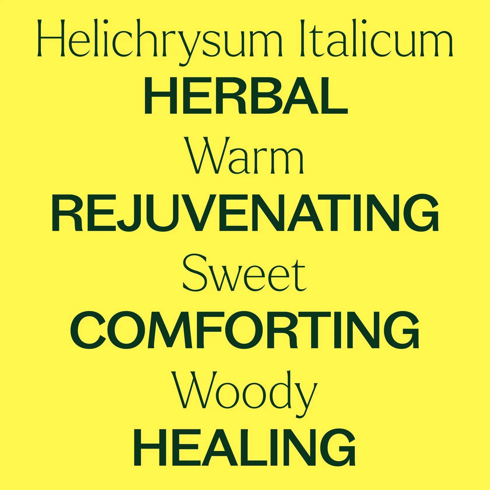 Plant Therapy - Wholesale Essential Oil - Organic Helichrysum Italicum Essential Oil 2.5 mL4