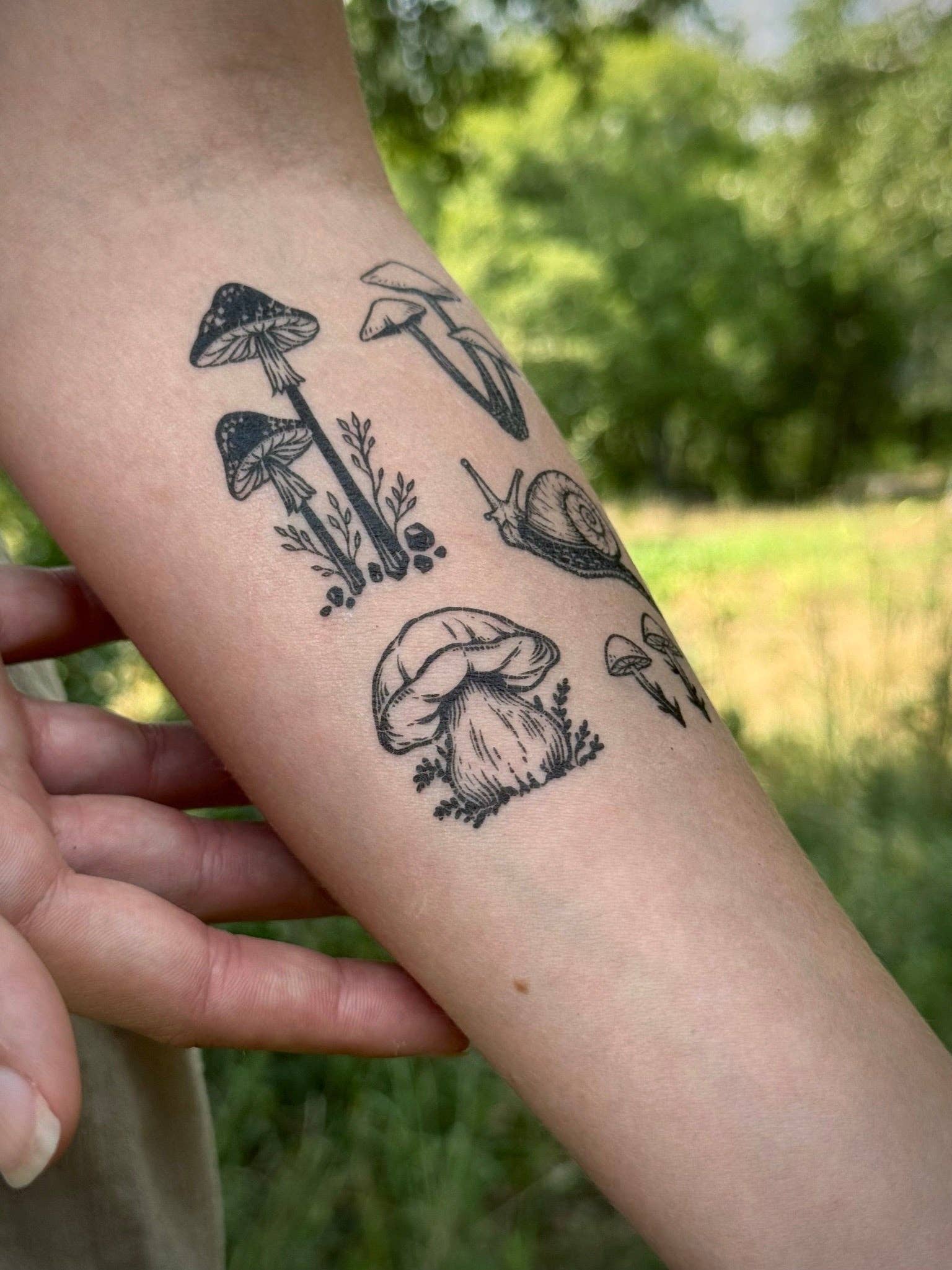 NatureTats - Vente Tatouages temporaires - Feuille de tatouages temporaires Petits Champignons2