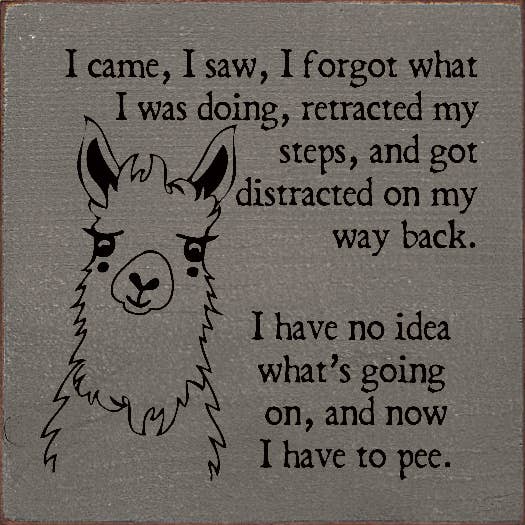 SAWDUST CITY - Wholesale Sign - I came, I saw, I forgot what I was doing, retracted my steps0