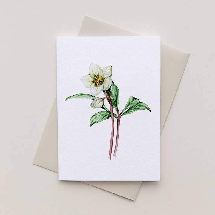 Sophie Brabbins - Wholesale Everyday Greeting Card - Mini Hellebore Watercolour Sustainable Greetings Card2