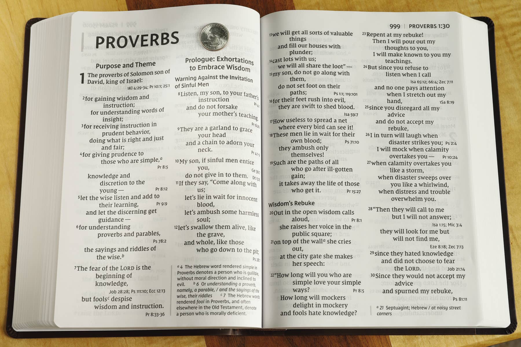 HarperCollins Christian Publishing - Wholesale Reference - NIV Super Giant Print Reference Bible Leathersoft Brown3