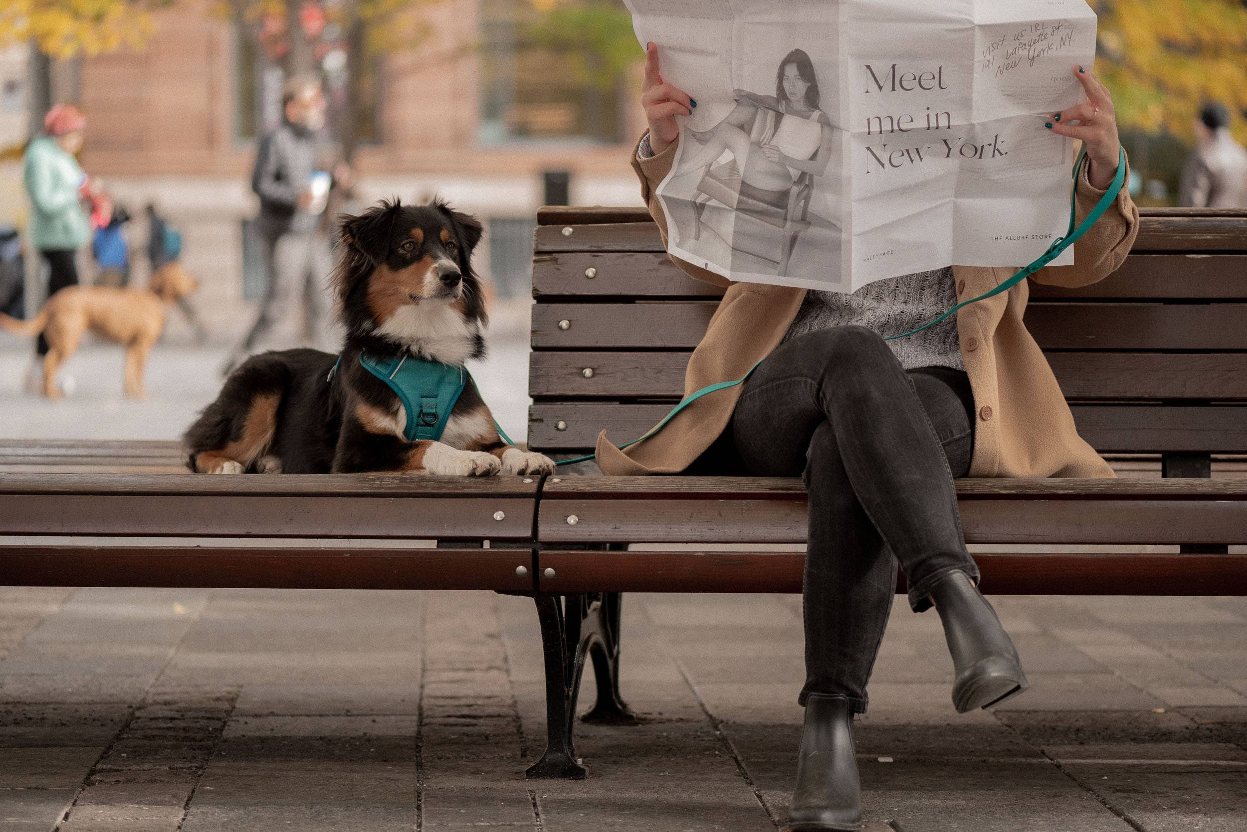 Peachy Dogs - Wholesale Pet Harness - Dog - Mojito Classic 2.0 Harness11