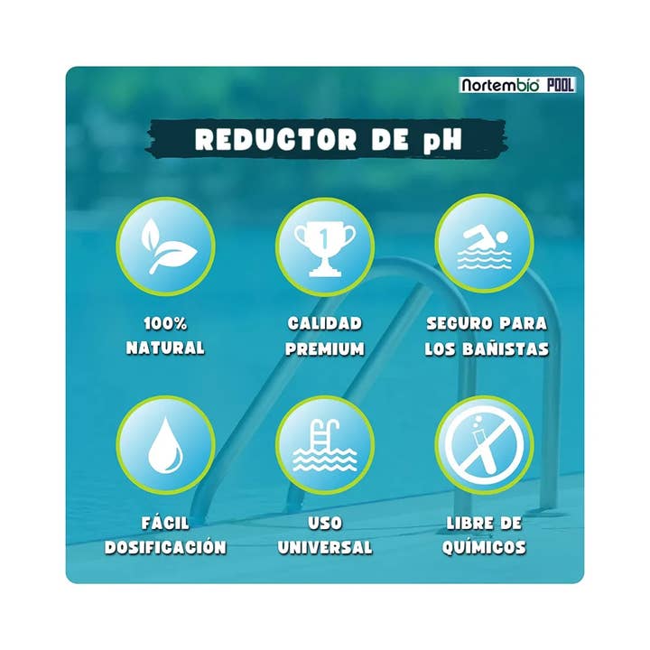 NORTEM BIOTECHNOLOGY GROUP - Wholesale Dried Spice - Ph 5 L Reducer For Pool And Spa. Improve Quality3