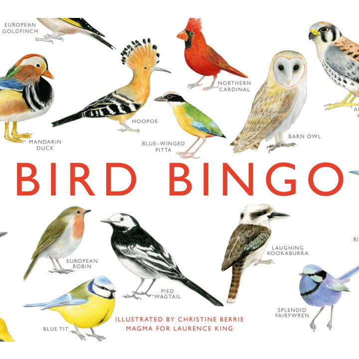 Bird Bingo by Laurence King Publishing (Game) for wholesale by HACHETTE UK LTD X LAURENCE KING