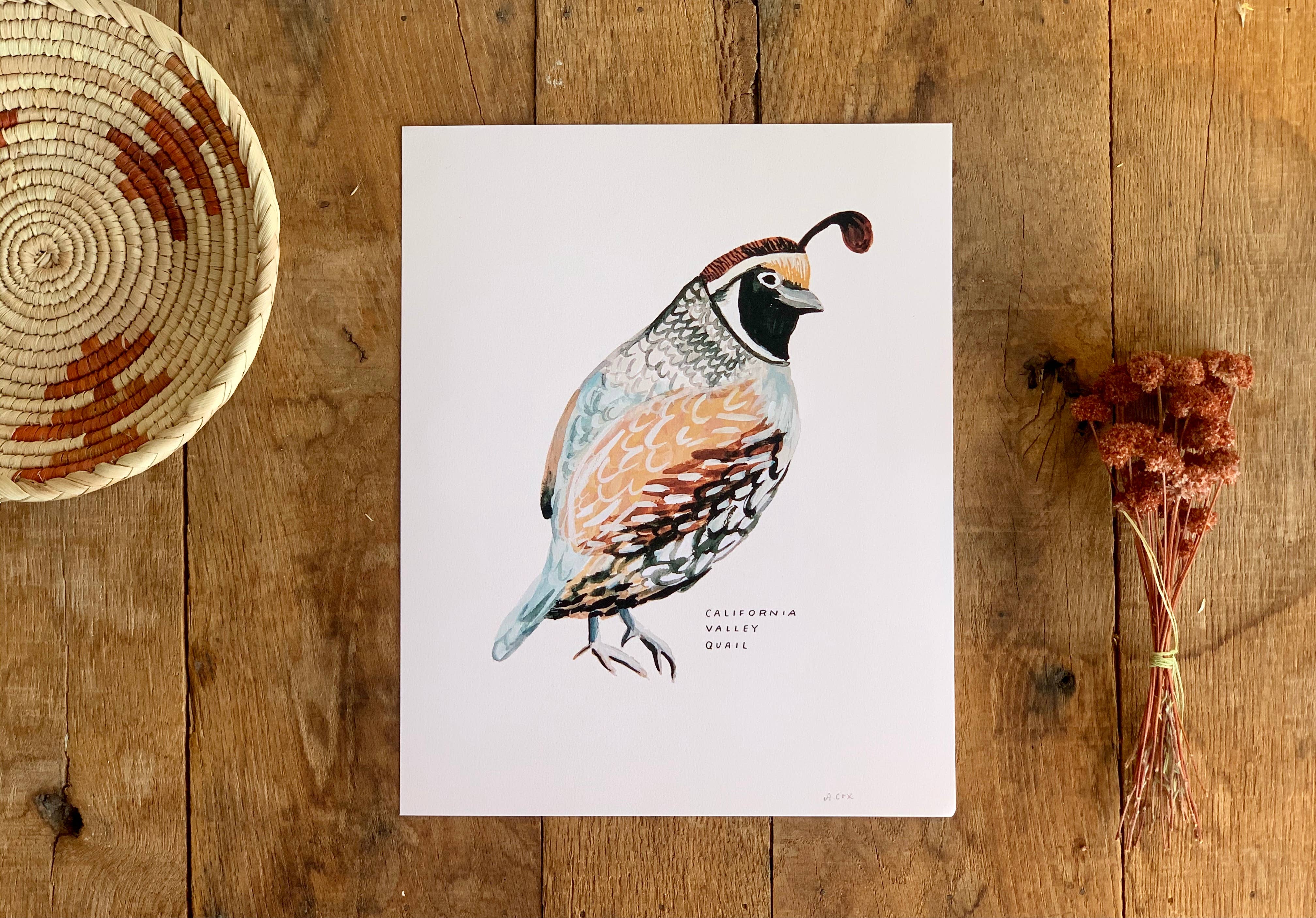Little Salt Wagon - Wholesale Art Print - California Valley Quail Bird Art Print Home Wall Decor1