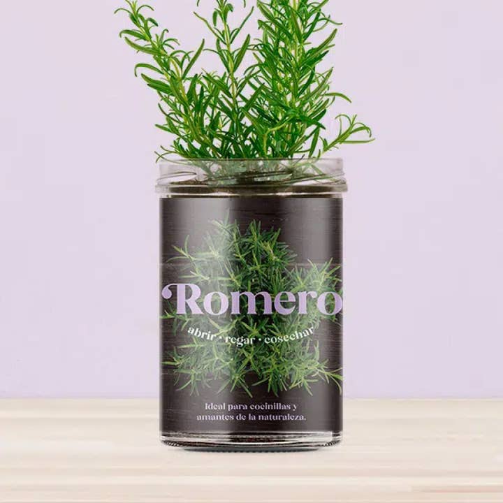 Rosmarin-køkkenhave 🌿 for engroshandel hos Resetea