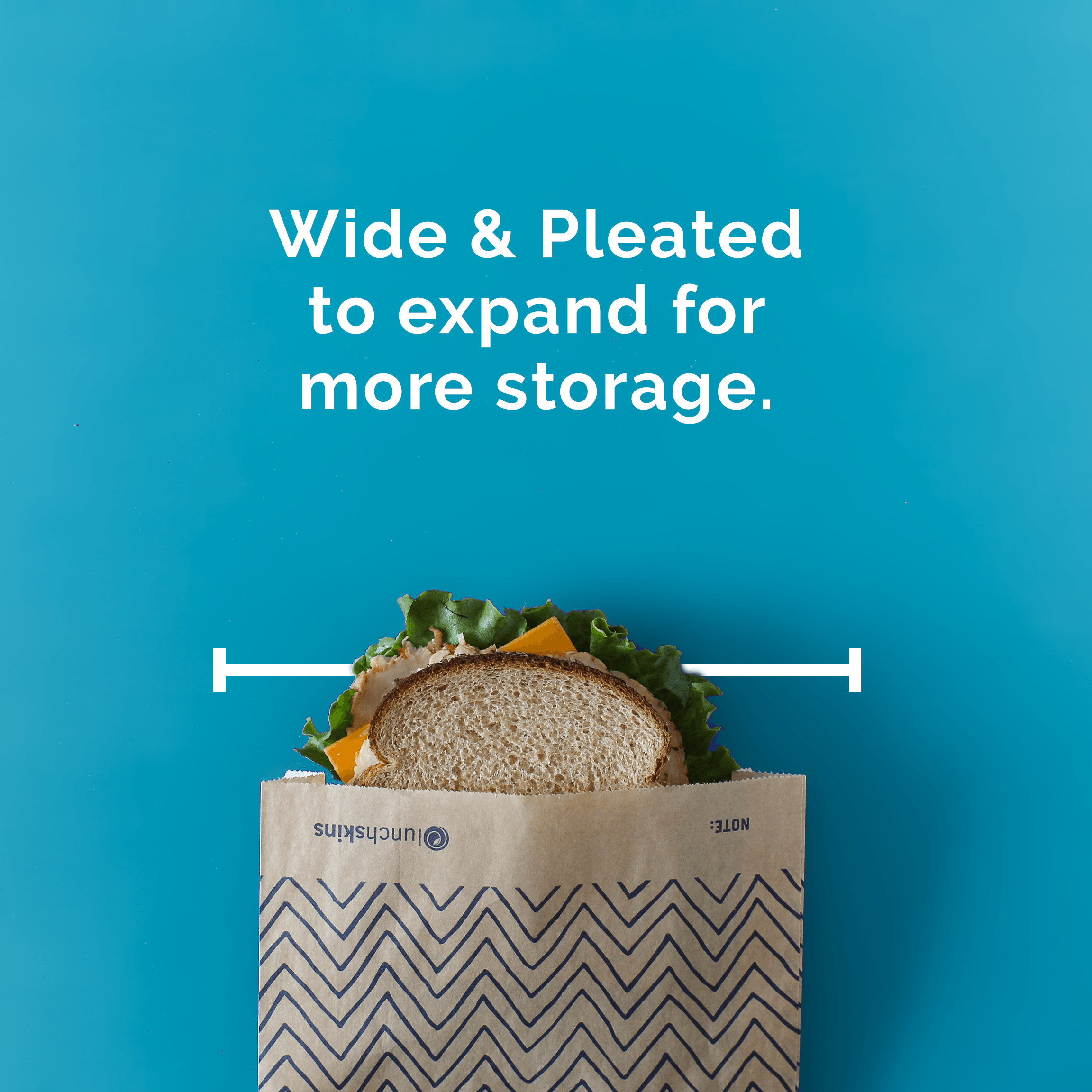 Lunchskins - Wholesale Food Storage Wrap/Bag - Compostable XL Sandwich Bags 50ct – Chevron Print5