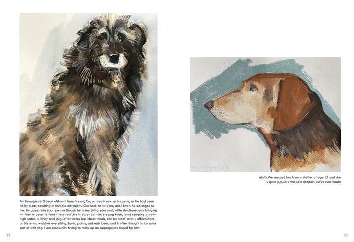 HarperCollins - Wholesale Pet Book - Rescue Dogs: Sally Muir4