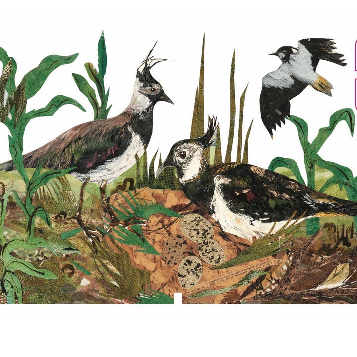 Lapwing Nest laser cut birch plywood keepsake and card for wholesale by Clare O’Neill Artworks