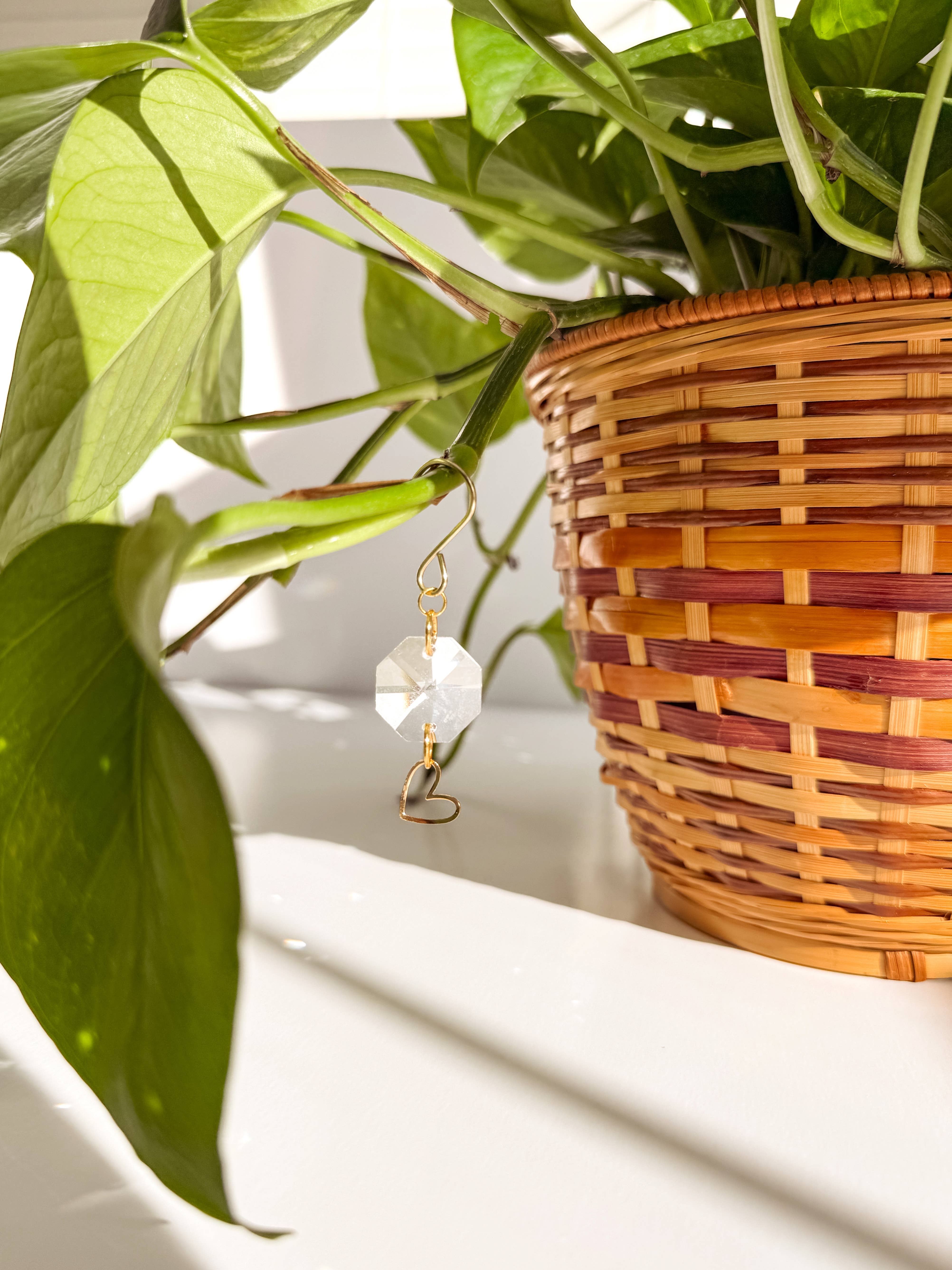 Meraki The Studio Co. - Wholesale Suncatcher - Plant Charm | Suncatcher + Heart | Houseplant Vine Jewelry8