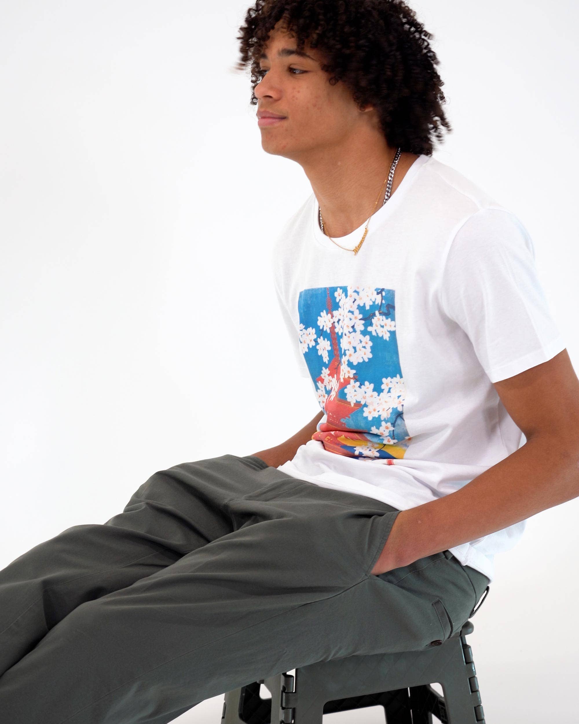 Grafitee - Wholesale Screen Printed T-Shirt - Unisex - Japanese pagoda T-shirt - Japanese graphic tee shirt4