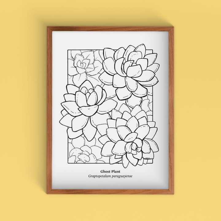 Cacti Oasis© - Wholesale Art Print - Black & White Succulent Screen Print, 22" x 30"2