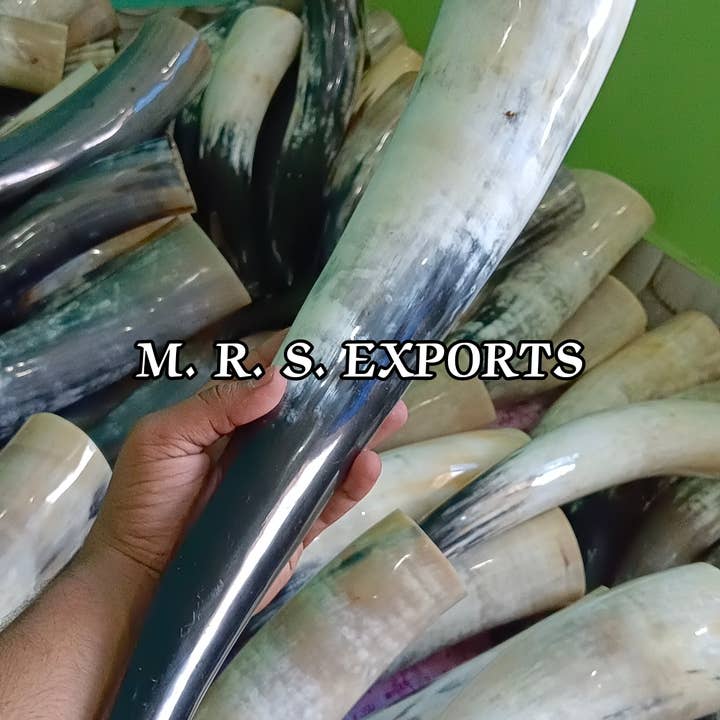 Cream High Quality Viking Drinking Horns At Affordable Prices for wholesale on Faire3