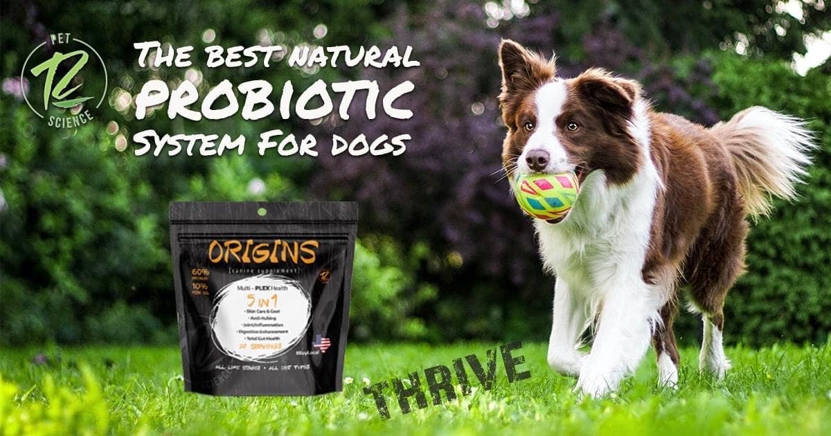 Rogue Pet Science - Wholesale Pet Supplement - Dog - 5 Lb Origins Supplement4
