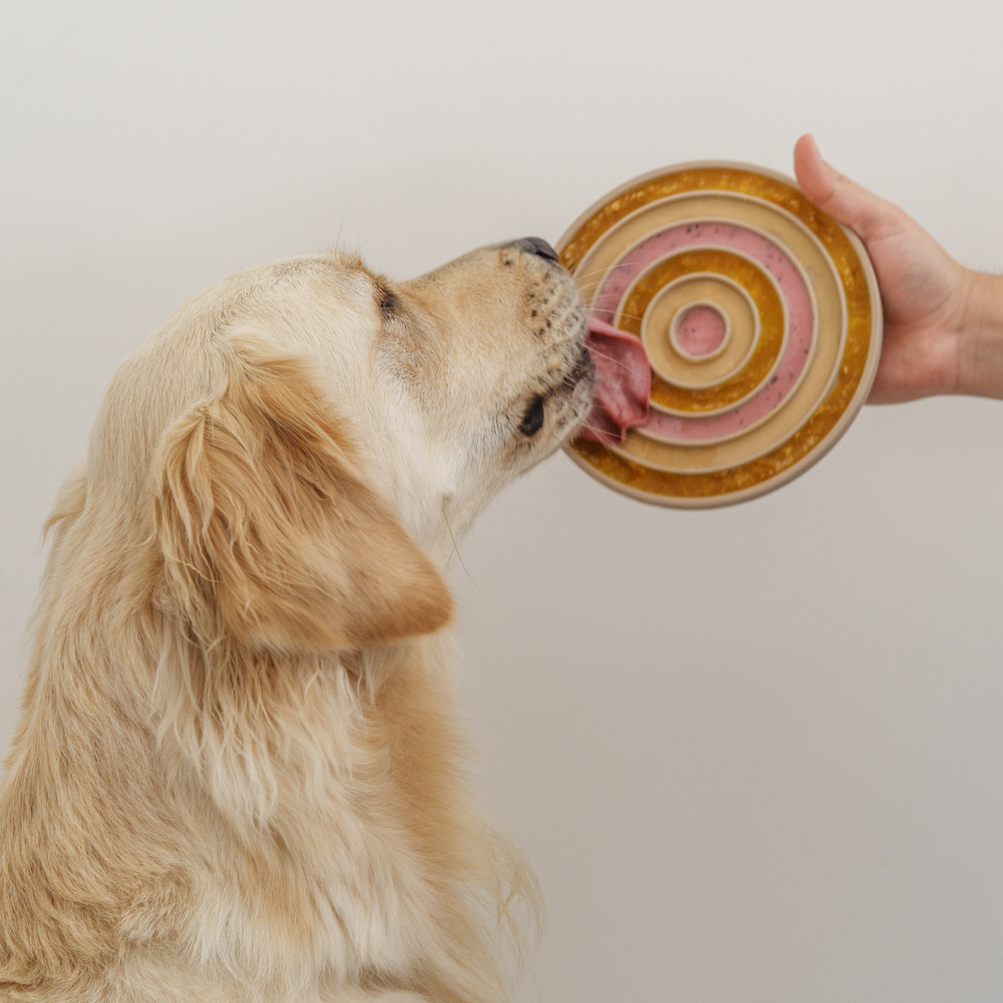 Lambwolf Collective - Vendita all'ingrosso Tappetino sottociotola per animali - Cane - BENTO 3 IN 16