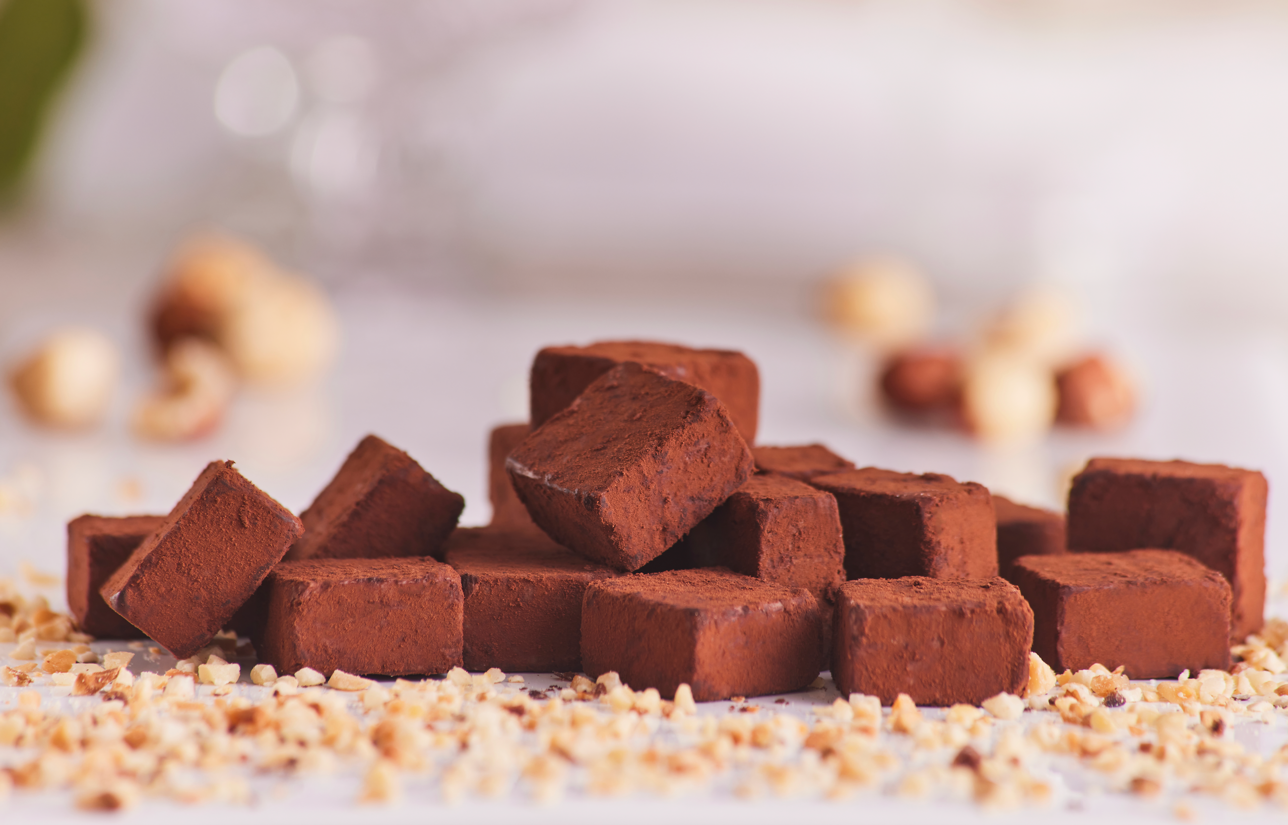 Cioccolato Lavoratti 1938 - Vente Friandises enrobées de chocolat - Truffes saupoudrées de cacao et de noisettes 200g1