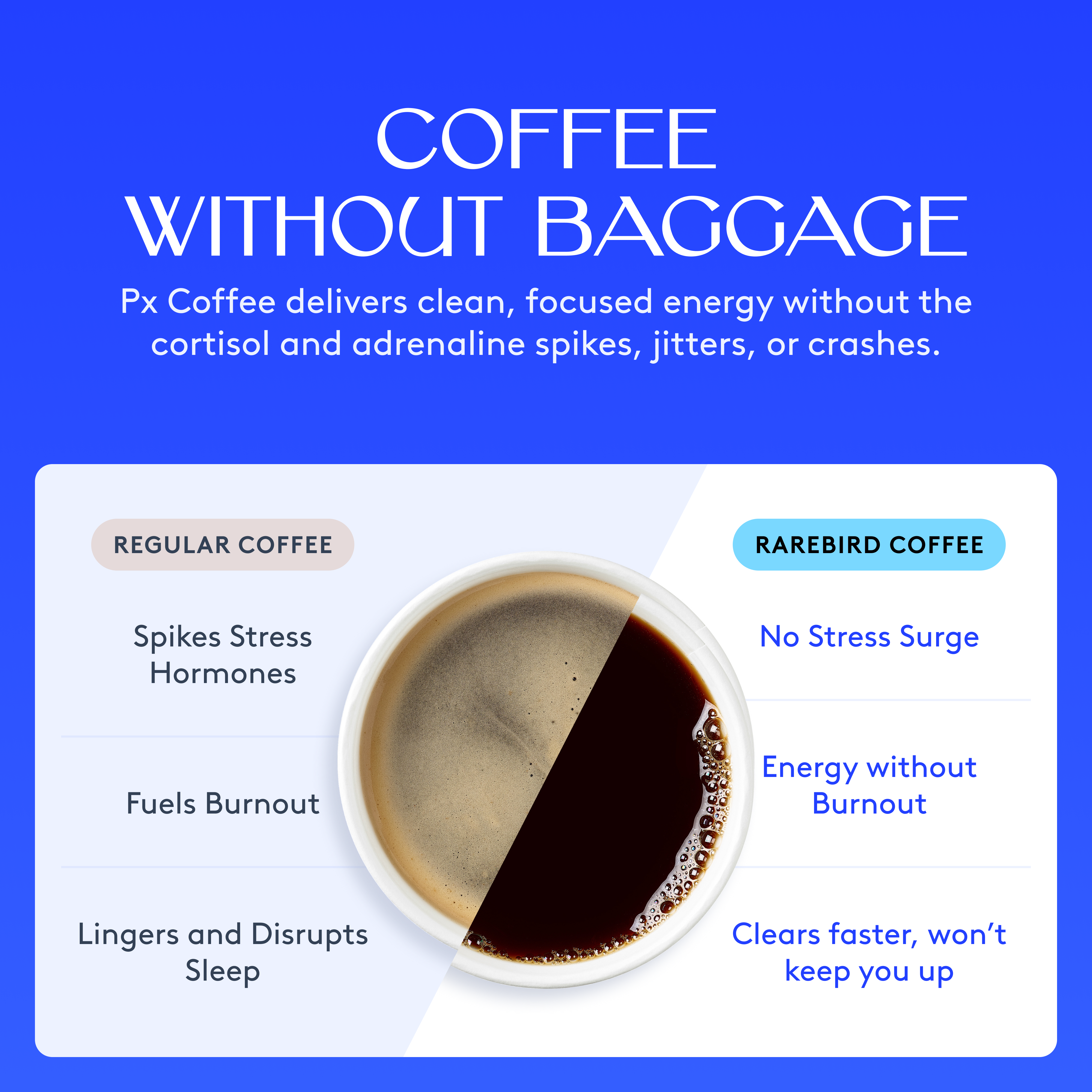 Rarebird - Wholesale Ground Coffee - Px Coffee Pods5