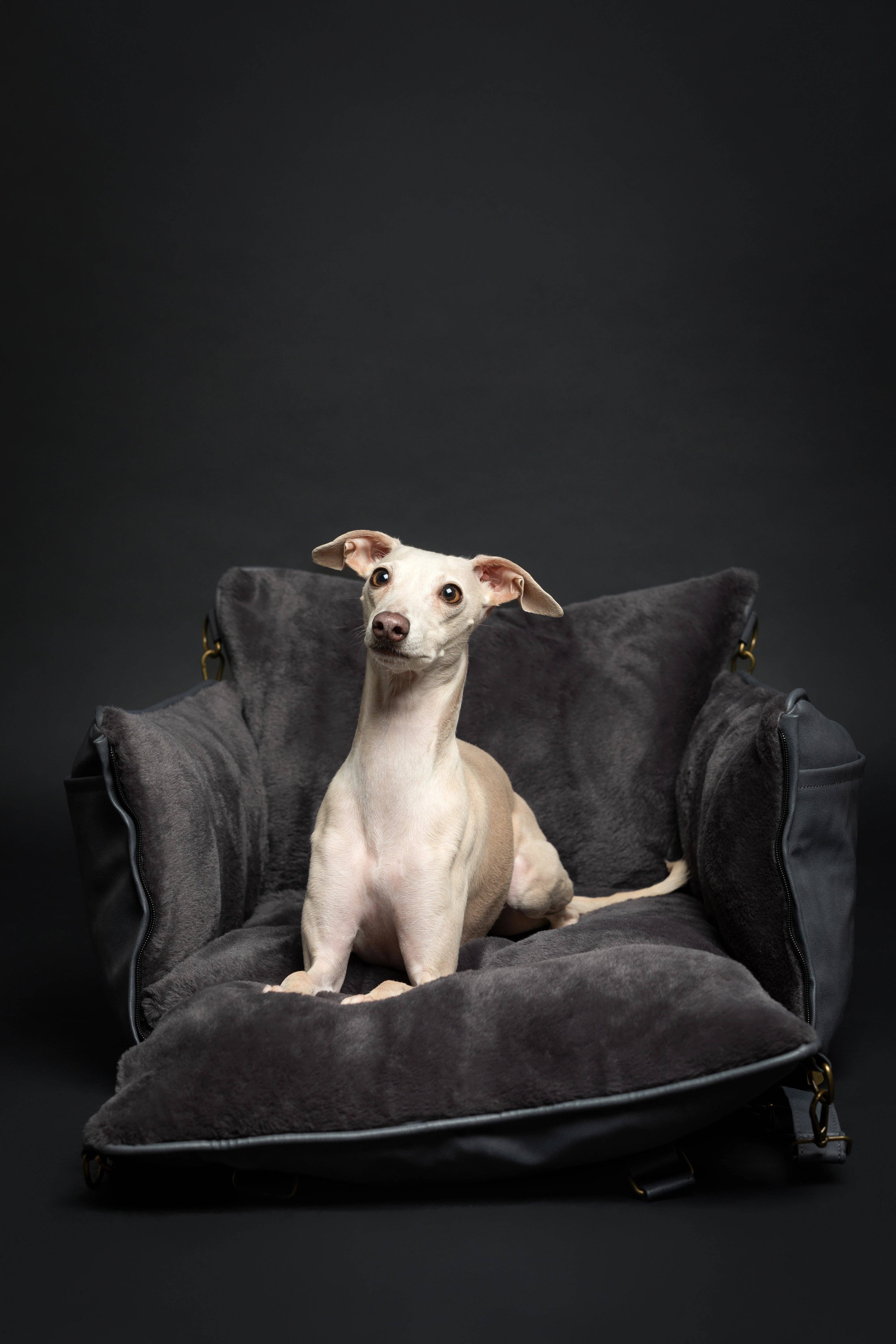 NOAH AND PAW LLC – wholesale Pet carrier – Cat/dog – Dog Car Seat Carrier Orthopedic Crushed Foam, Black, Vegan Leather4