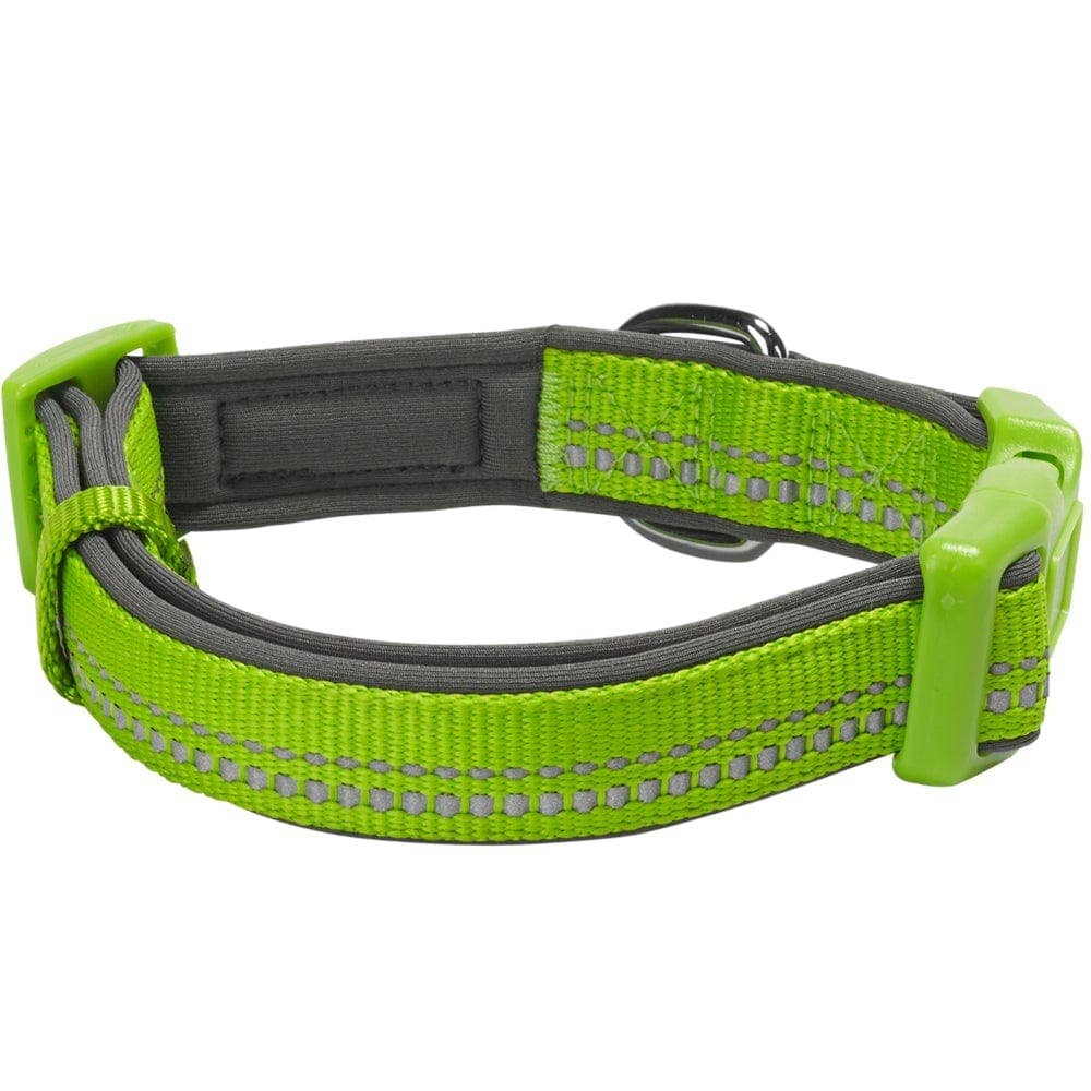 Blueberry Pet - Vente Collier – chien - Collier de sécurité rembourré en néoprène souple réfléchissant 3M3