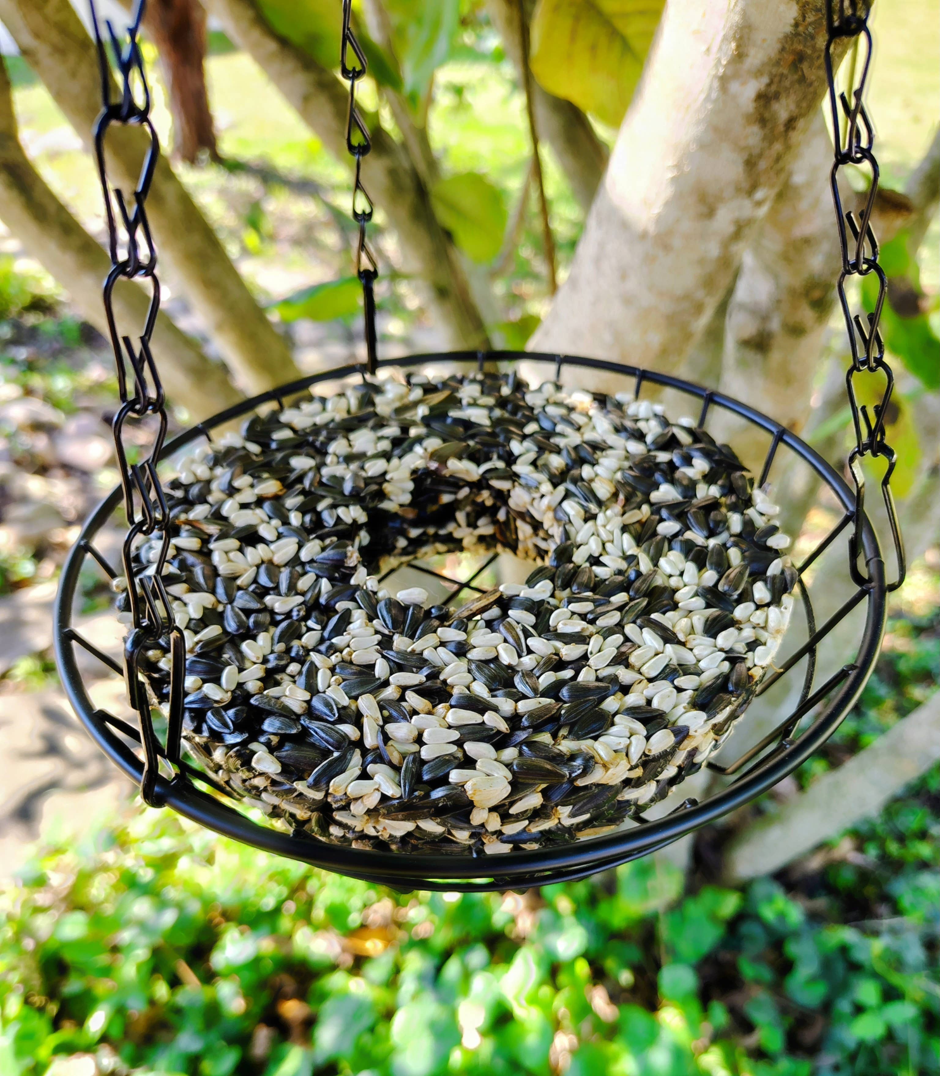 Backyard Tailz - Wholesale Bird Feeder - Birdseed Wreath (Cardinal Snack)2