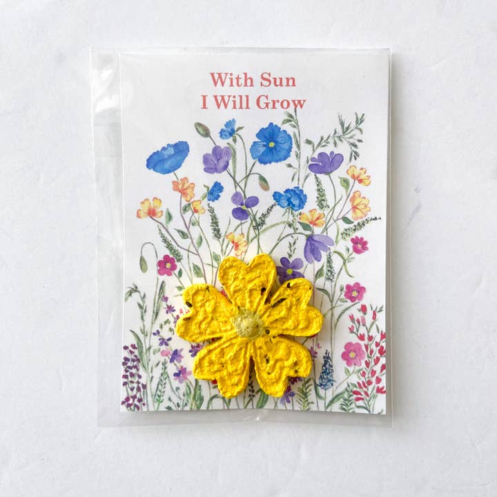 Papercraft Miracles LLC - Wholesale Plant Seeds - Wild Flower Seed Bomb1