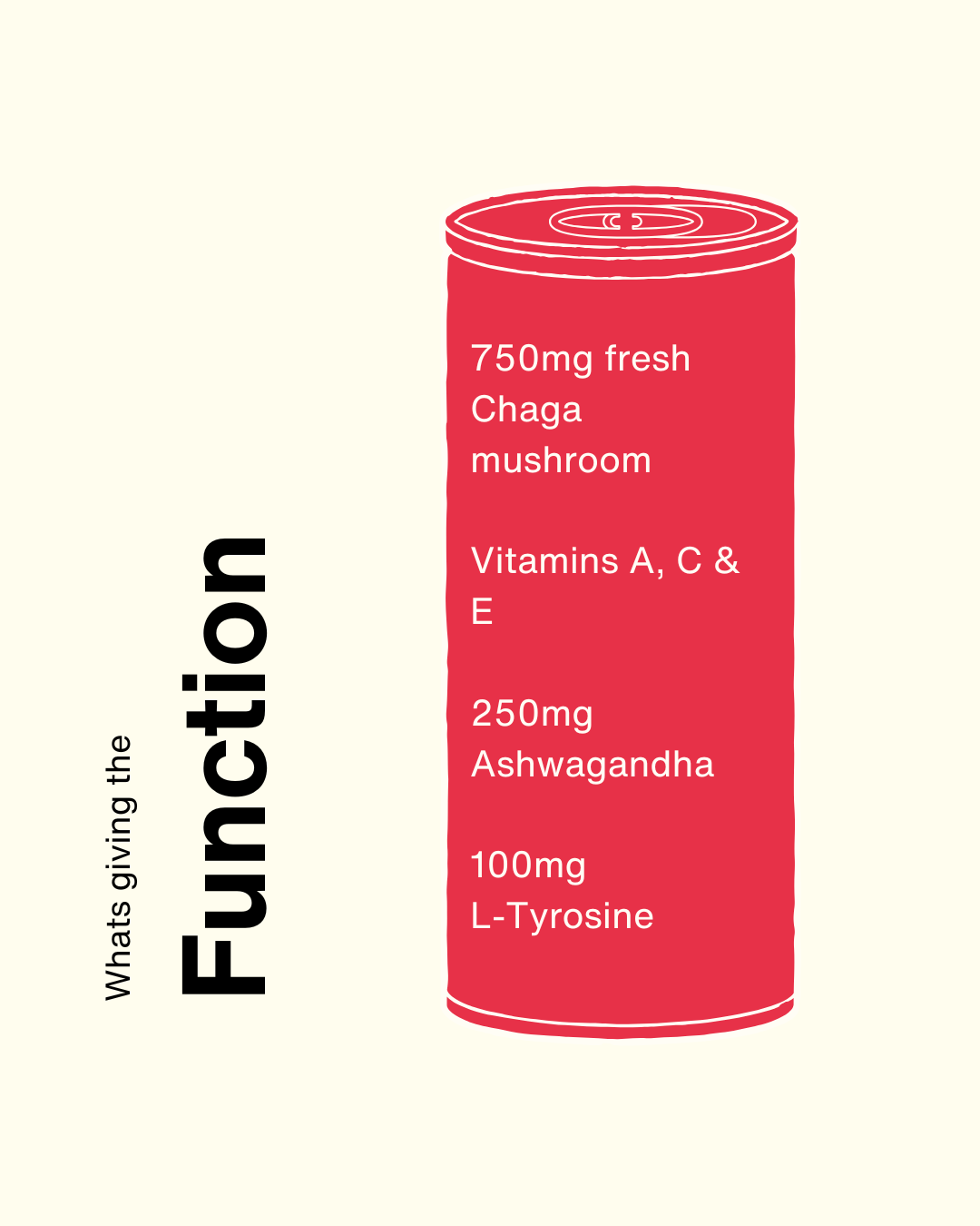 Oom Drinks Ltd – wholesale Sports/energy drink – OOM Balance (12 Pack)2