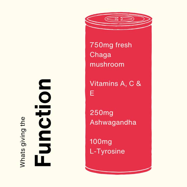 Oom Drinks Ltd – wholesale Sports/energy drink – OOM Balance (12 Pack)2