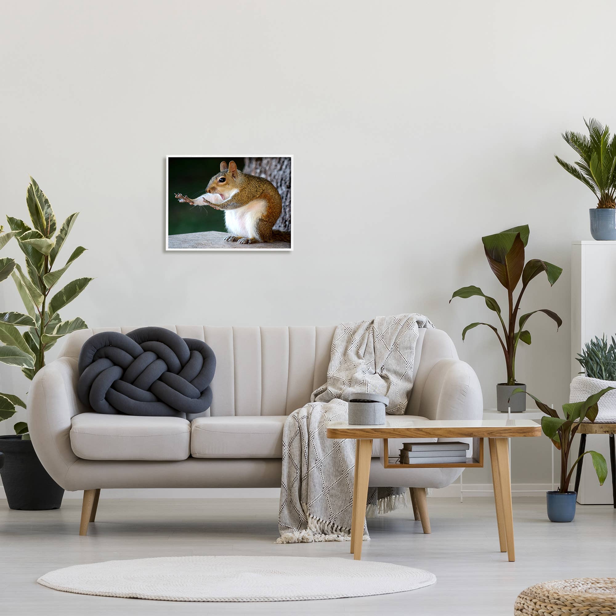 Stupell Industries – wholesale Art print – Funny Shocked Pose Squirrel Framed14