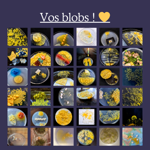 MISTER BLOB - Wholesale DIY Craft Kit - Kids - The eco blob kit3