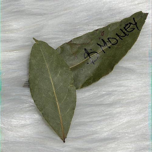 WHOLIFECO - Wholesale Meditation Supplies - Dozen of Bay leaves for manifestation - Prosperity & Abundance4
