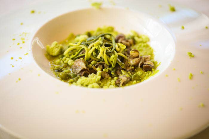 GALANTINO - Wholesale Sauce - TRUFFLE DRESSING BASED ON EXTRA VIRGIN OLIVE OIL 2