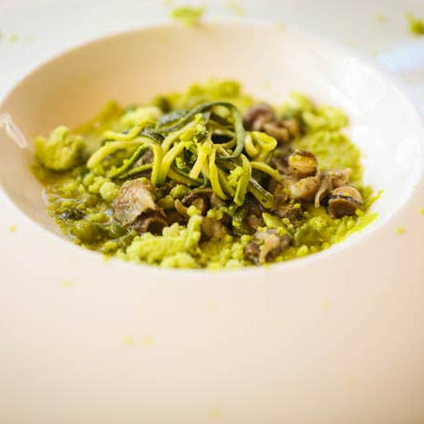 GALANTINO - Wholesale Olive Oil - Extra Virgin Olive Oil and Chili Pepper - 250ml Tin1