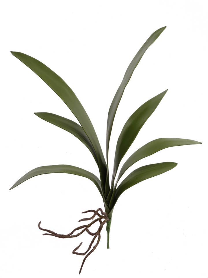 22" Cymbidium Leaf Cluster - Realistic Faux Greenery for wholesale by Larksilk