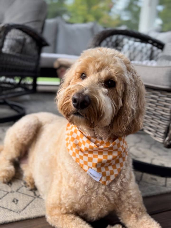 Orange Plaid Bandana - Fall Halloween Tie-on Dog Bandana for wholesale by Nermington's