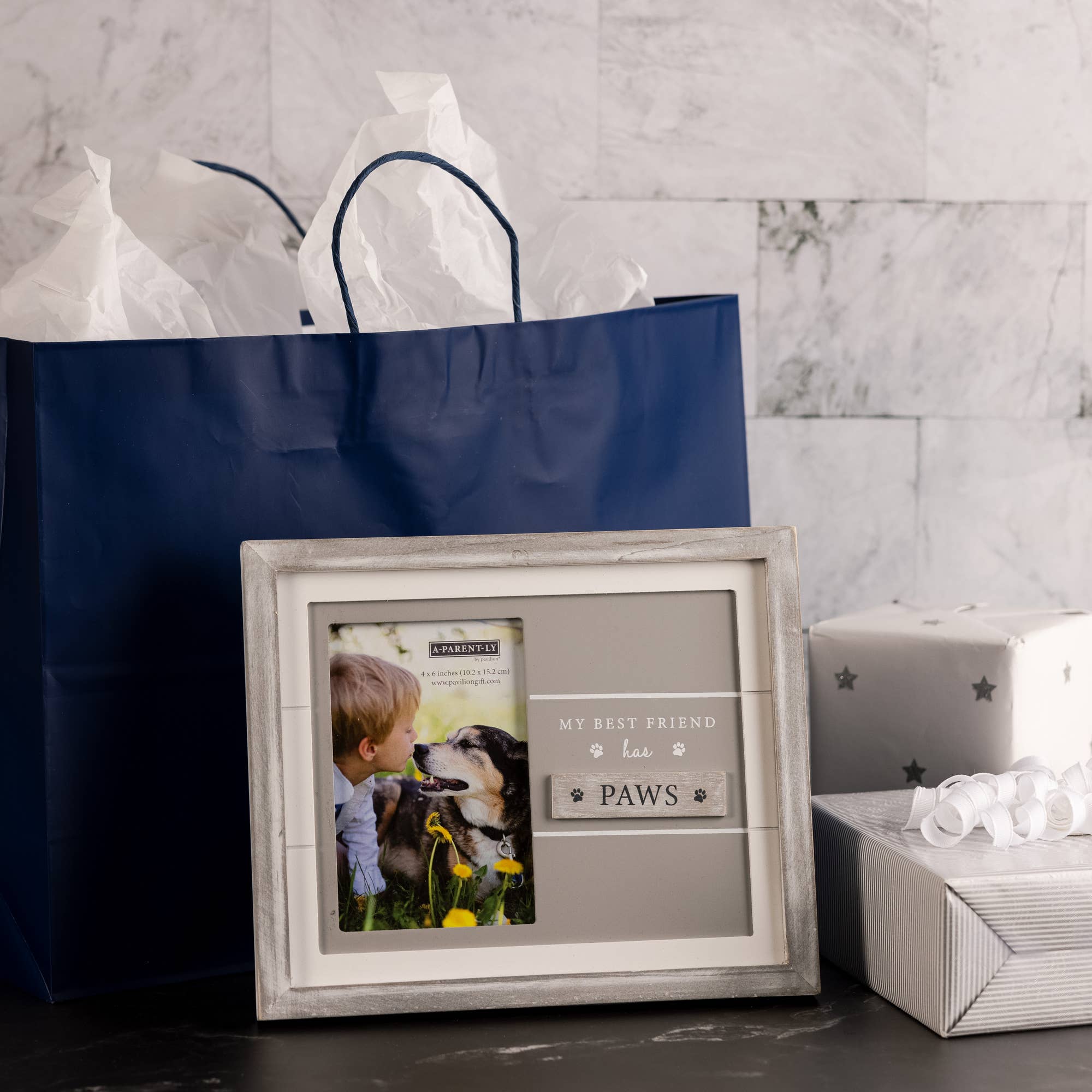 Pavilion – Großhandel Bilderrahmen – Pet — Rahmen, 9,75 x 8,25 Zoll (für 10,2 x 15,2 cm große Fotos)3