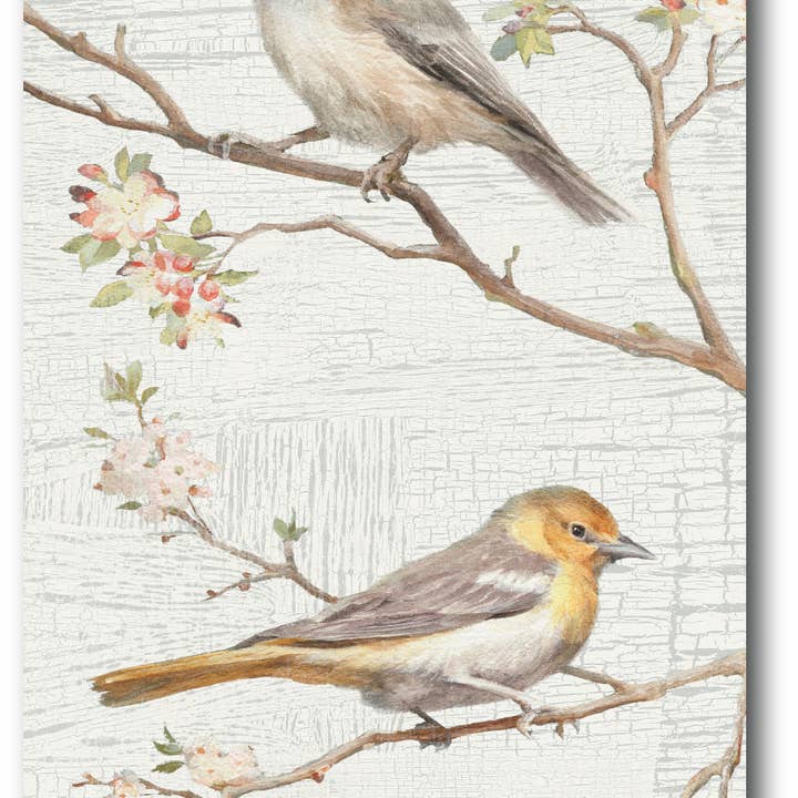Vintage Birds Go To Gallery-Wrapped Canvas Wall Art for wholesale by Courtside Market