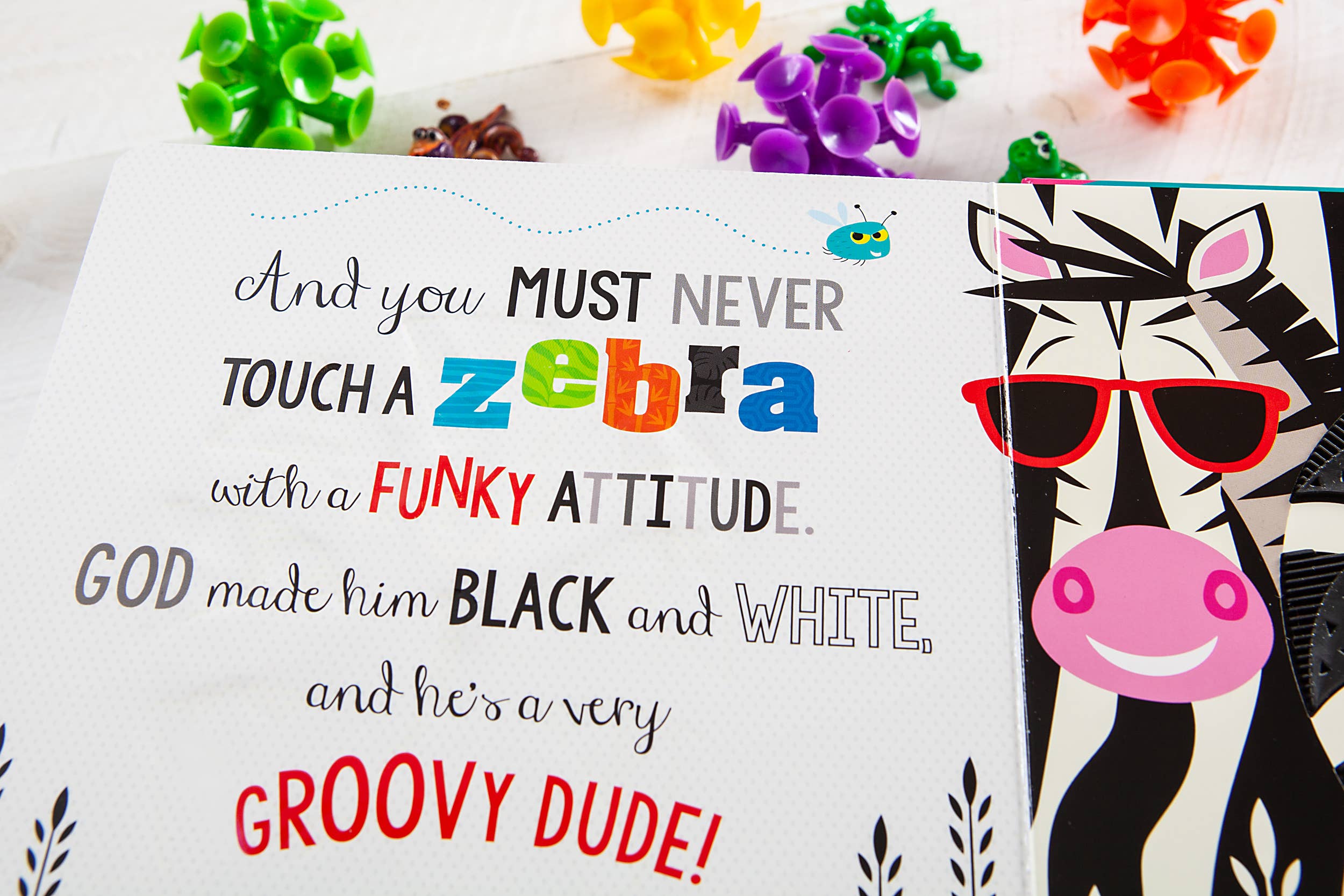 BroadStreet Publishing Group, LLC - Wholesale Baby & Toddler Book (0-2) - Never Touch God’s Colorful Creations (Tactile Book Ages 0+)1