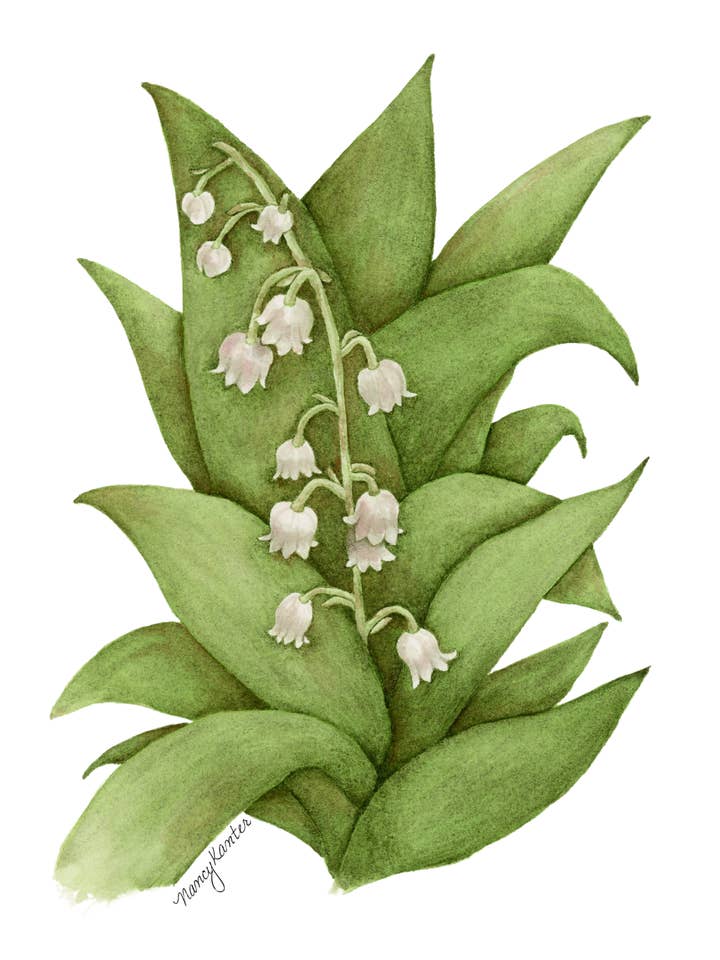 Impression Giclée Florale en Aquarelle "Fille Lily" pour la vente par Beauty Is Inside