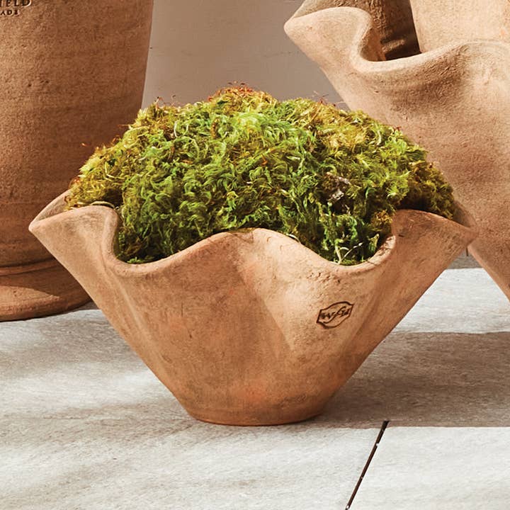 Napa Home & Garden - Wholesale Plant Pot - Wakefield Handmade Wiley Pot #4, Tan