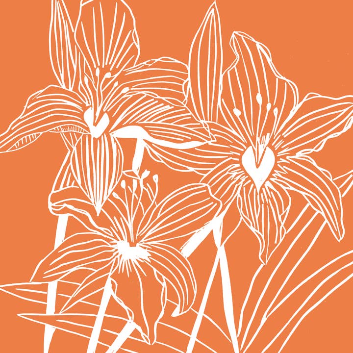 The Flower Collection: Daylilies for wholesale by Charlotte Holt Art