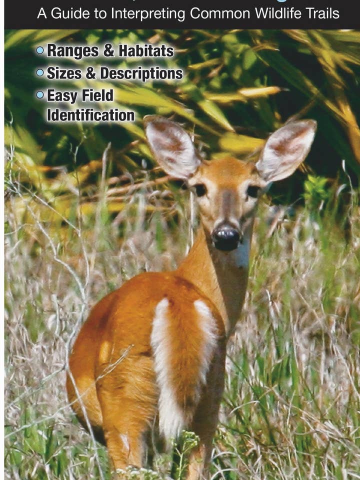 Wildlife of Texas - Tracks, Scats and Signs for wholesale by Quick Reference Publishing, Inc