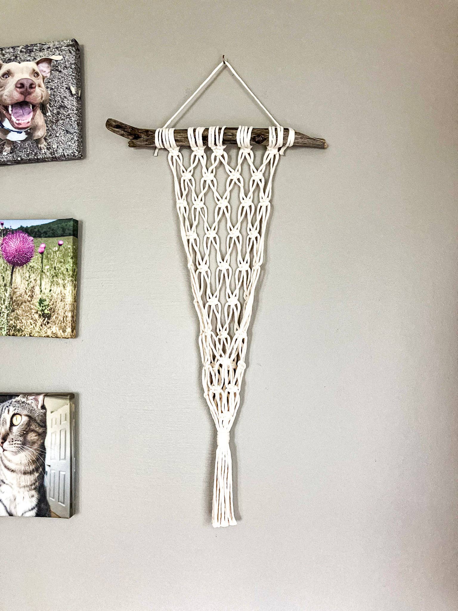 Why Knot - Wholesale Hanging Planter - Wall Plant Hanger - Handmade Macrame Pot Holders6