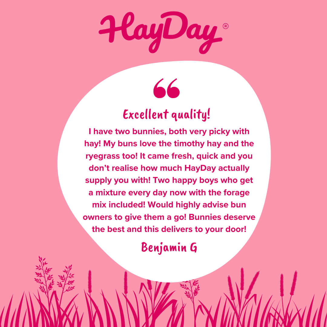 HayDay – wholesale Pet food – Not cat/dog – Sweet and Munchy Ryegrass Hay 1kg7