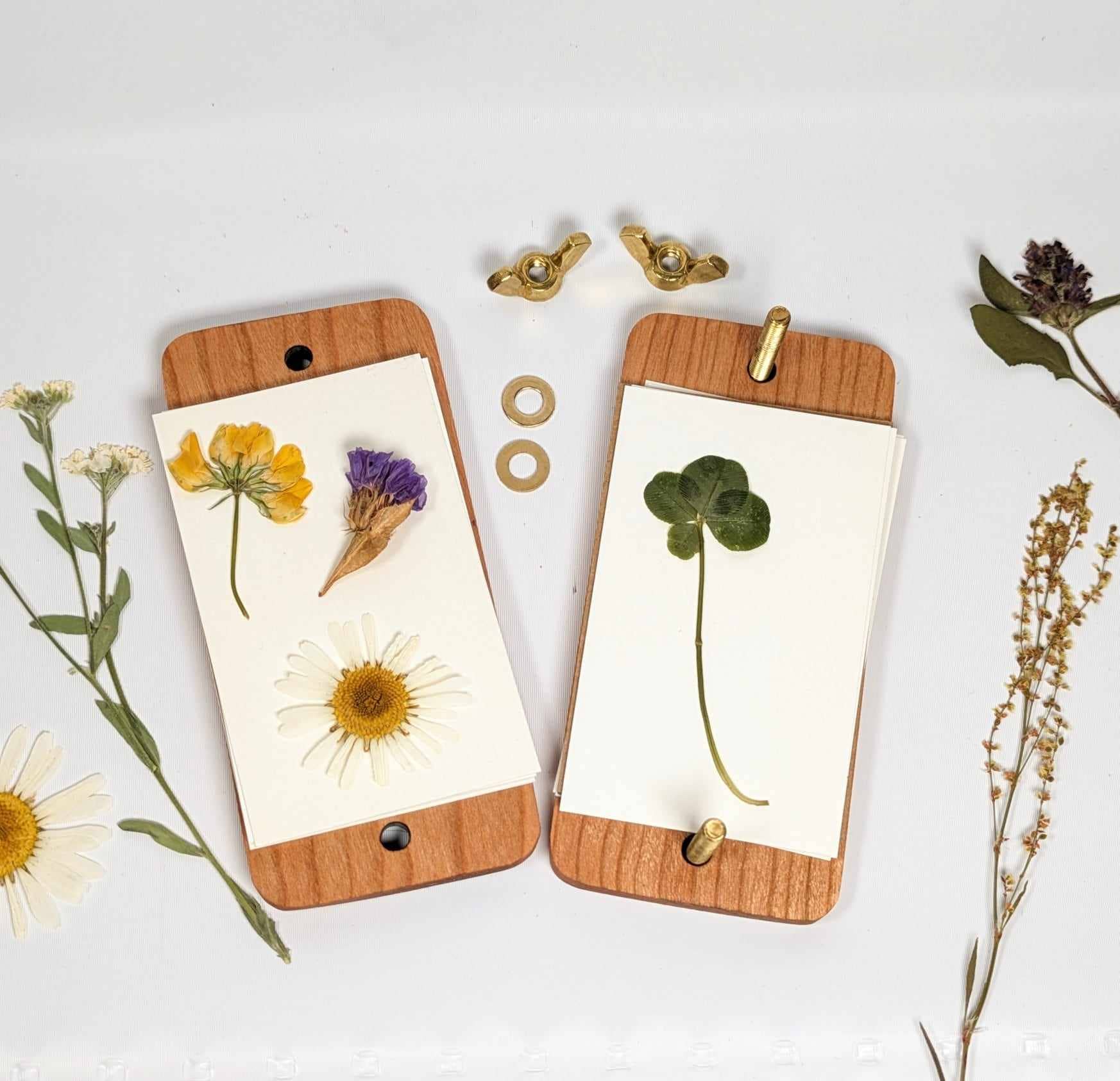 Macon Makes - Wholesale DIY Craft Kit - Pocket Sized Flower Press With Bee Design| 2"x4"6