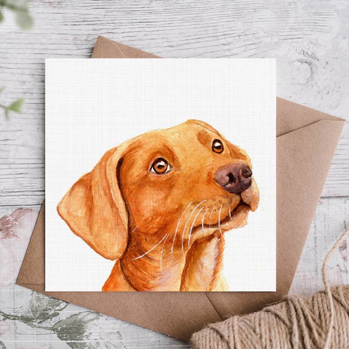 Rød Fox Labrador Fødselsdag Kort/Rød for engroshandel hos Cloud Jellybean Art