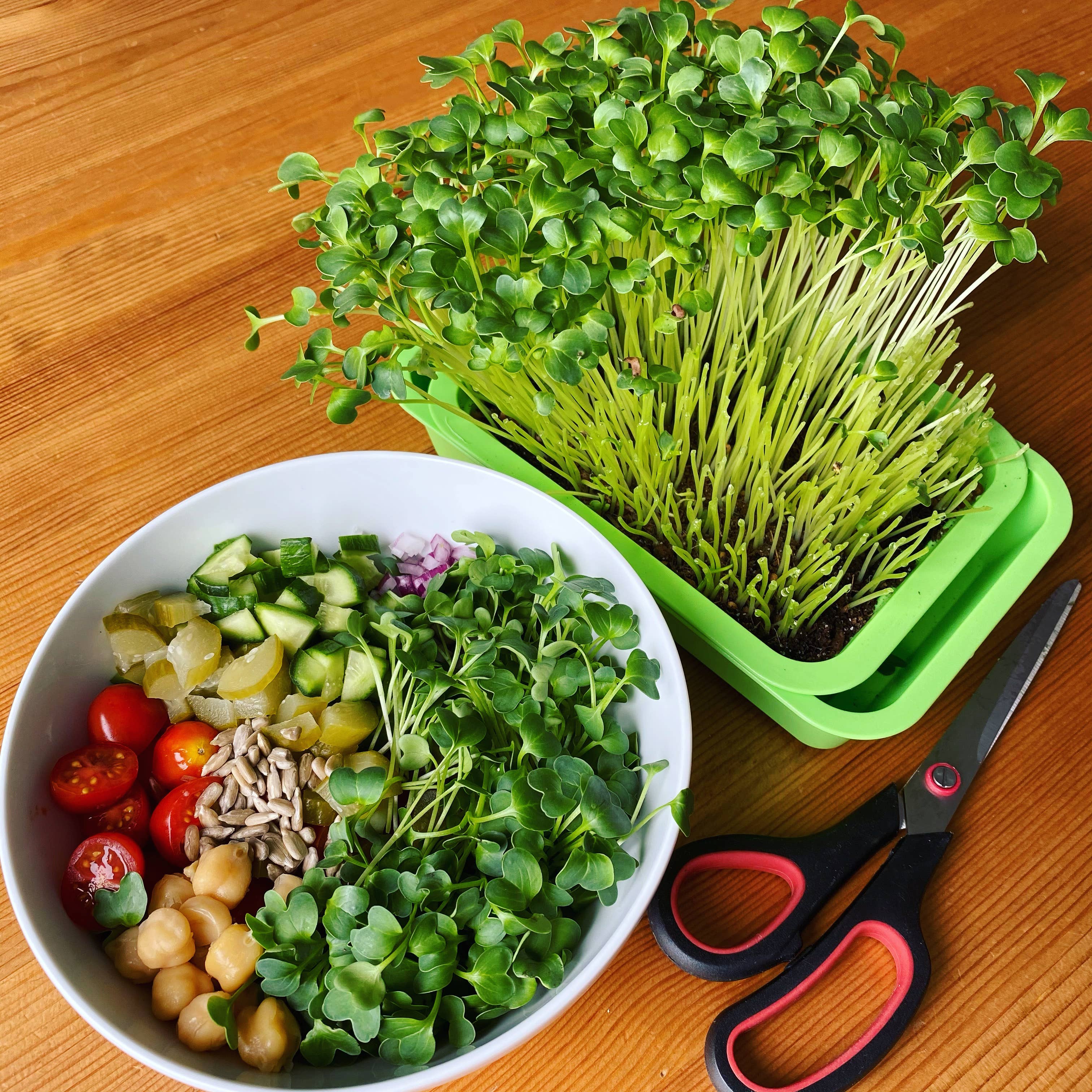 Knowing Nature - Wholesale Planter Box - Indoor Windowsill Microgreens Planters 15