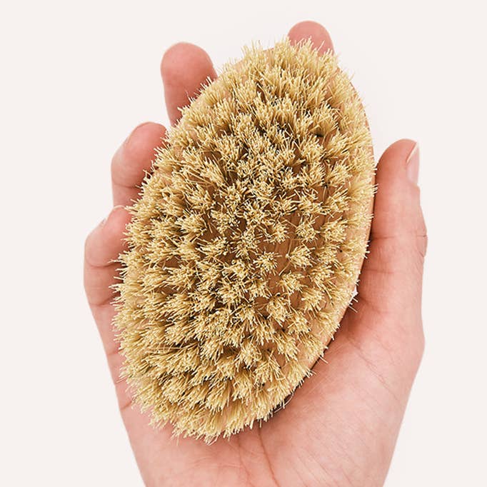 CAFIDE - Vendita all'ingrosso Spazzola - Cani e gatti - Spazzola Cane Pelo Corto, Teo0